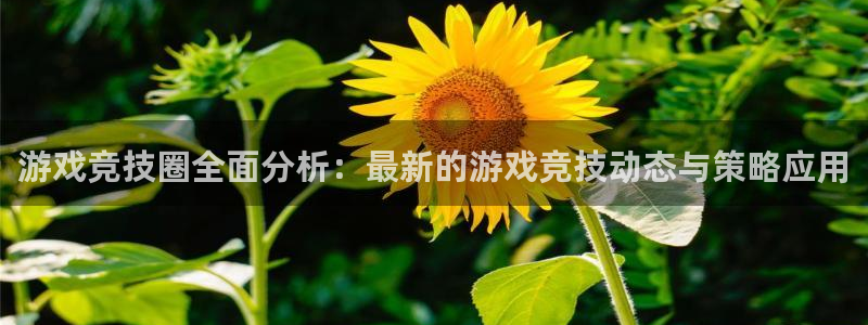 奇亿娱乐平台登录线路：游戏竞技圈全面分析：最新的游戏竞技动态